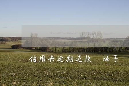 信用卡逾期还款 骗子 信用卡逾期还款 骗子